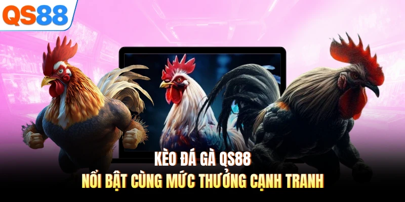 Kèo đá gà QS88 nổi bật cùng mức thưởng cạnh tranh